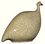 Guinea Fowl - Pintade<br>Brown Speckled White